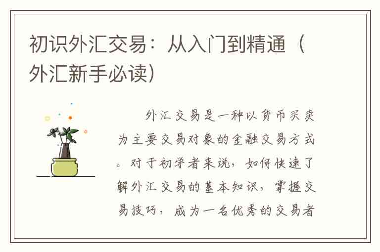 初识外汇交易：从入门到精通（外汇新手必读）